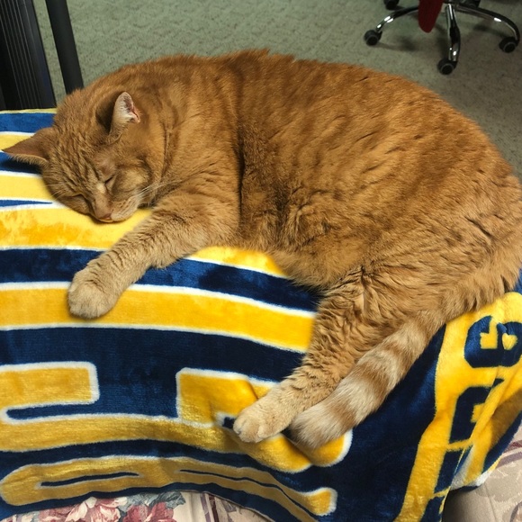 Meet your Posher, KB - Picture 10 of 11